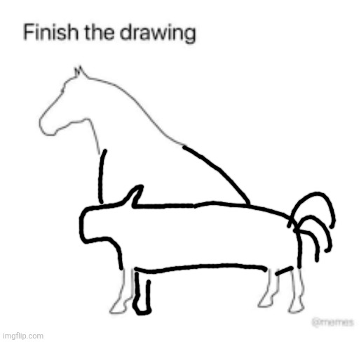 Finish the drawing | image tagged in finish the drawing | made w/ Imgflip meme maker