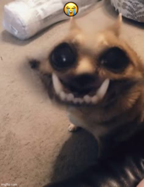 😭 | made w/ Imgflip meme maker