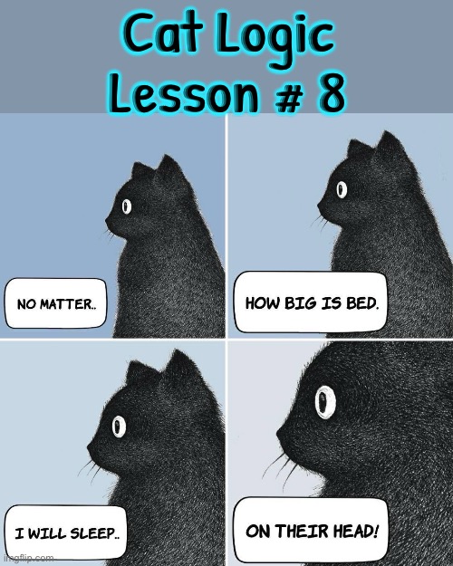 Cat Logic Lesson # 8 | Cat Logic Lesson # 8 | image tagged in cats,funny cat memes,rhymes,illogical,life lessons,logic | made w/ Imgflip meme maker