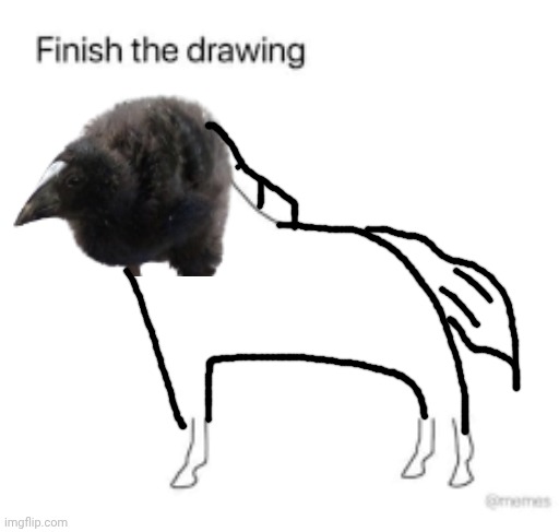 Finish the drawing | image tagged in finish the drawing | made w/ Imgflip meme maker