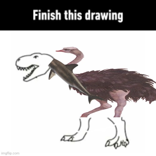 finish this drawing | image tagged in finish this drawing | made w/ Imgflip meme maker