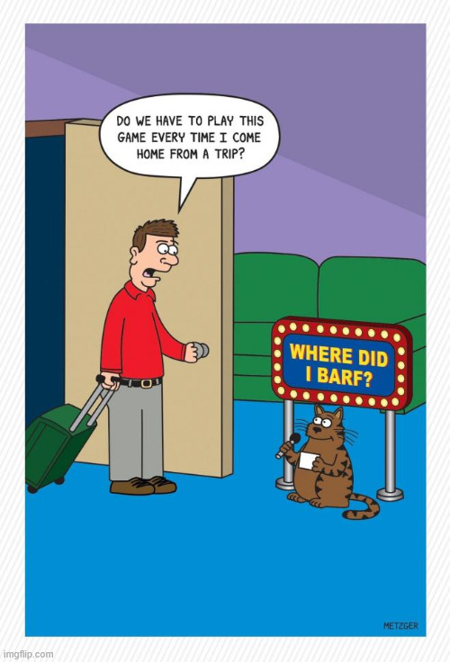 It's game show time | image tagged in repost,it's game show time | made w/ Imgflip meme maker
