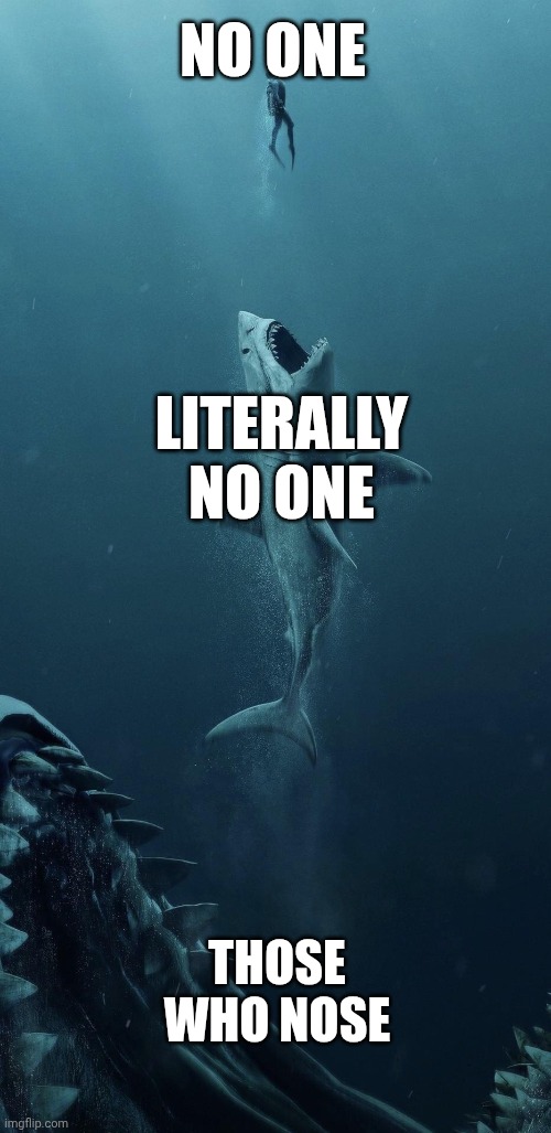 Bigger fish | NO ONE; LITERALLY NO ONE; THOSE WHO NOSE | image tagged in bigger fish | made w/ Imgflip meme maker