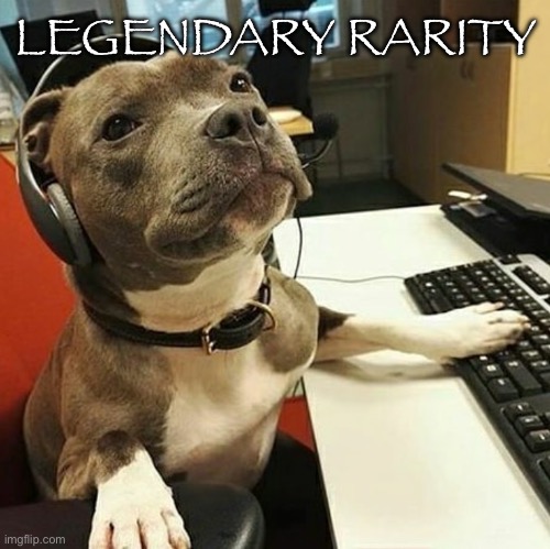 pit bull tech support | LEGENDARY RARITY | image tagged in pit bull tech support | made w/ Imgflip meme maker