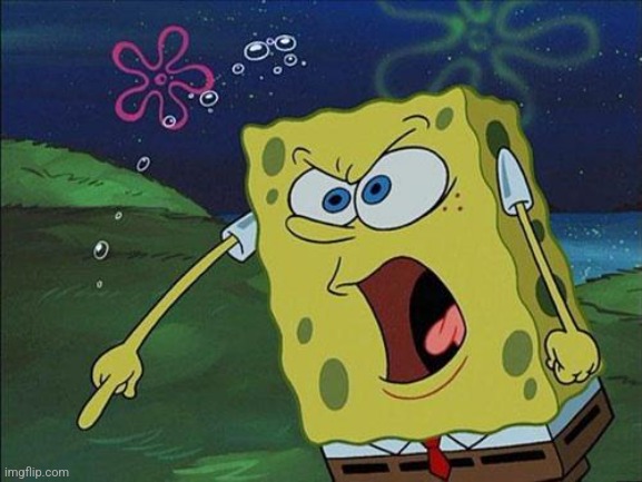 Spongebob Yelling | image tagged in spongebob yelling | made w/ Imgflip meme maker