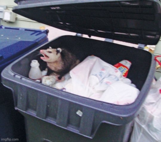 Peak | image tagged in trash possum | made w/ Imgflip meme maker
