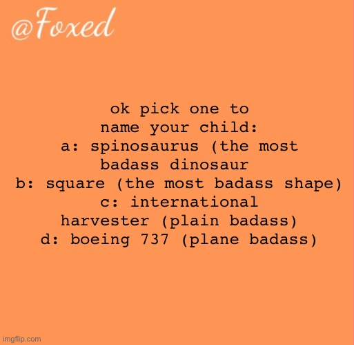foxed orange temp | ok pick one to name your child:
a: spinosaurus (the most badass dinosaur 
b: square (the most badass shape)
c: international harvester (plain badass)
d: boeing 737 (plane badass) | image tagged in foxed orange temp | made w/ Imgflip meme maker