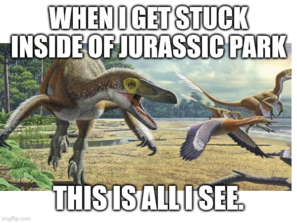 Jurassic Park be like? | WHEN I GET STUCK INSIDE OF JURASSIC PARK; THIS IS ALL I SEE. | image tagged in dinosaurs | made w/ Imgflip meme maker