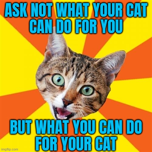 "Ask not what your cat can do for you but what you can do for your cat" | ASK NOT WHAT YOUR CAT
CAN DO FOR YOU; BUT WHAT YOU CAN DO
FOR YOUR CAT | image tagged in memes,bad advice cat | made w/ Imgflip meme maker