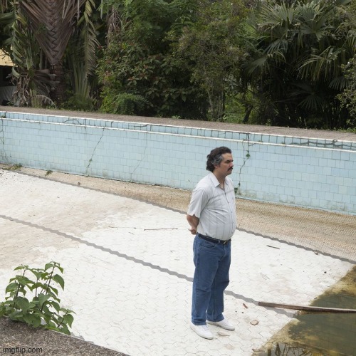 Sad Pablo standing in pool square template | image tagged in sad pablo standing in pool square template | made w/ Imgflip meme maker
