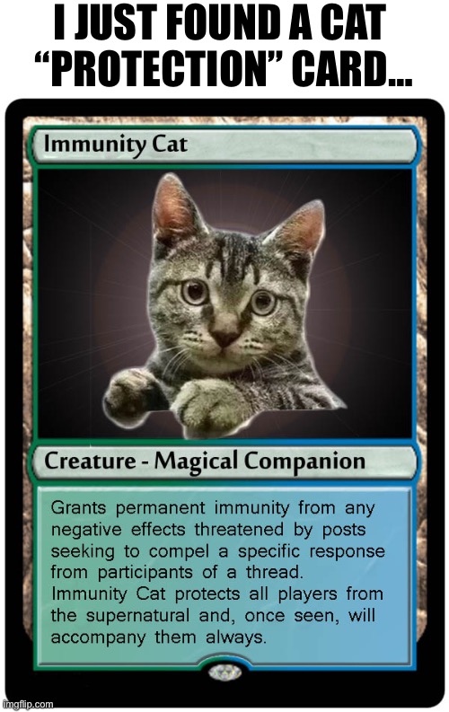 Cats are magical creatures after all… | I JUST FOUND A CAT 
“PROTECTION” CARD… | image tagged in cats,protection card,magical,companion | made w/ Imgflip meme maker