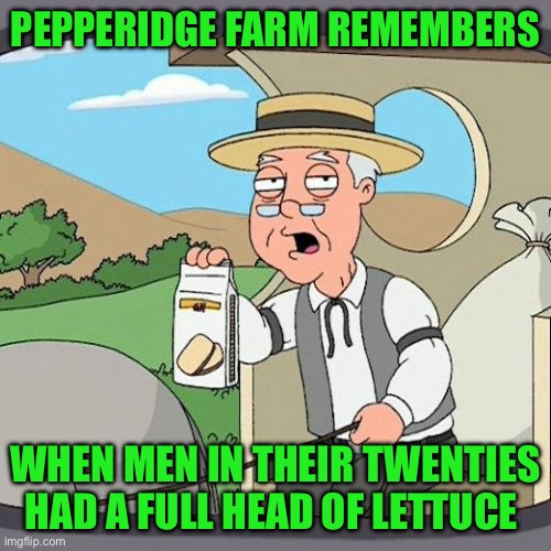 Pepperidge Farm Remembers | PEPPERIDGE FARM REMEMBERS; WHEN MEN IN THEIR TWENTIES HAD A FULL HEAD OF LETTUCE | image tagged in memes,pepperidge farm remembers | made w/ Imgflip meme maker