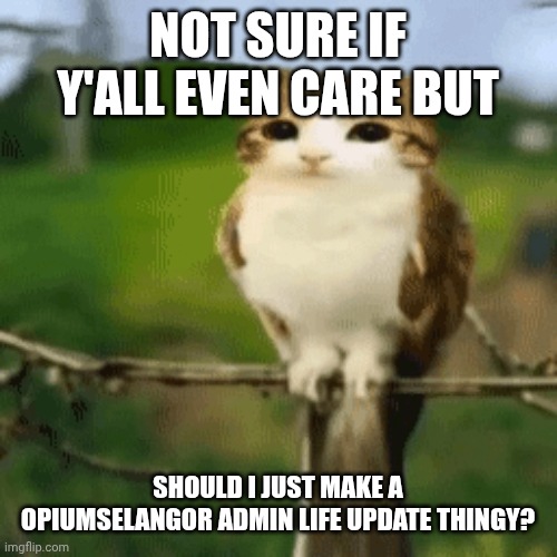 NOT SURE IF Y'ALL EVEN CARE BUT; SHOULD I JUST MAKE A OPIUMSELANGOR ADMIN LIFE UPDATE THINGY? | made w/ Imgflip meme maker