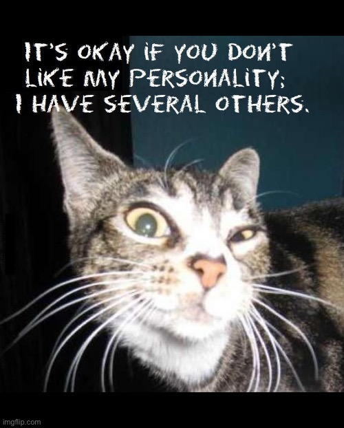 Just wait around long enough and they’ll all show up eventually… | image tagged in cats,split personalities | made w/ Imgflip meme maker