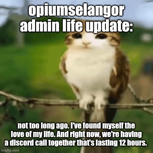 y'all should consider getting a partner, it's awesome - opiumselangor | opiumselangor admin life update:; not too long ago. I've found myself the love of my life. And right now, we're having a discord call together that's lasting 12 hours. | made w/ Imgflip meme maker