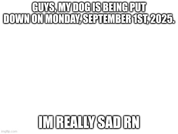 Please help me get through this | GUYS, MY DOG IS BEING PUT DOWN ON MONDAY, SEPTEMBER 1ST, 2025. IM REALLY SAD RN | made w/ Imgflip meme maker