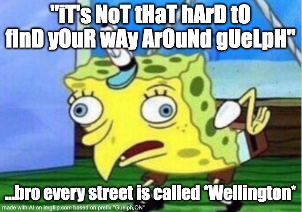 No actually as a Guelphite Everything is a wellington county road | "iT's NoT tHaT hArD tO fInD yOuR wAy ArOuNd gUeLpH"; …bro every street is called *Wellington* | image tagged in memes,mocking spongebob | made w/ Imgflip meme maker