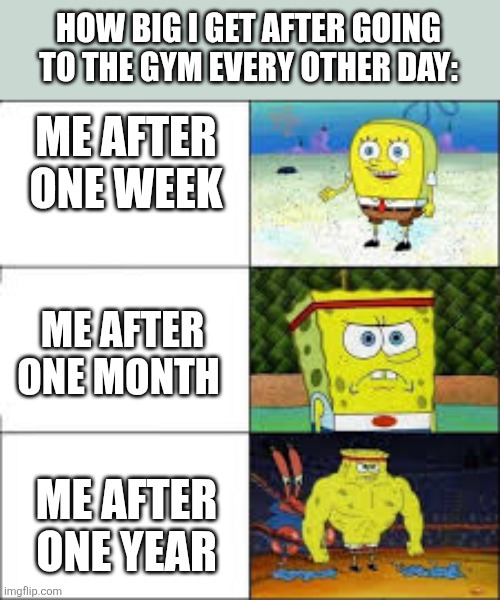 Normal to wrestler | HOW BIG I GET AFTER GOING TO THE GYM EVERY OTHER DAY:; ME AFTER ONE WEEK; ME AFTER ONE MONTH; ME AFTER ONE YEAR | image tagged in normal to wrestler | made w/ Imgflip meme maker