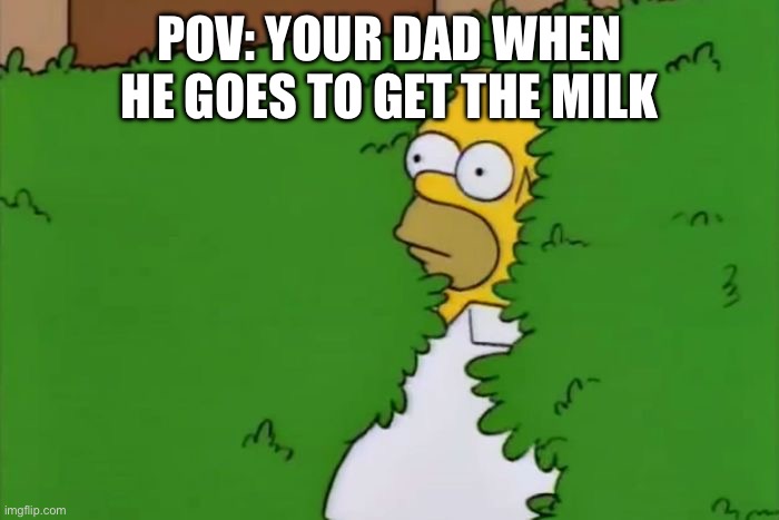 Dad Disappearing Meme | POV: YOUR DAD WHEN HE GOES TO GET THE MILK | image tagged in homer disappears into bush | made w/ Imgflip meme maker