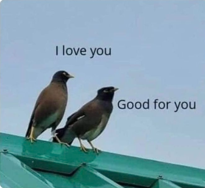 Chrisjoines1 Blank Meme Template