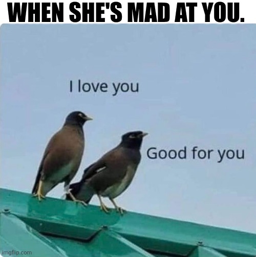 When She's Mad At You. | WHEN SHE'S MAD AT YOU. | image tagged in chrisjoines1 | made w/ Imgflip meme maker