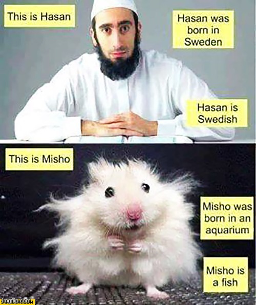 image tagged in funny,true | made w/ Imgflip meme maker