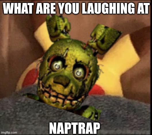 i sleep | WHAT ARE YOU LAUGHING AT NAPTRAP | image tagged in i sleep | made w/ Imgflip meme maker
