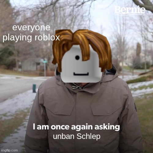 I want roblox to have a better moderation | everyone playing roblox; unban Schlep | image tagged in memes,bernie i am once again asking for your support | made w/ Imgflip meme maker