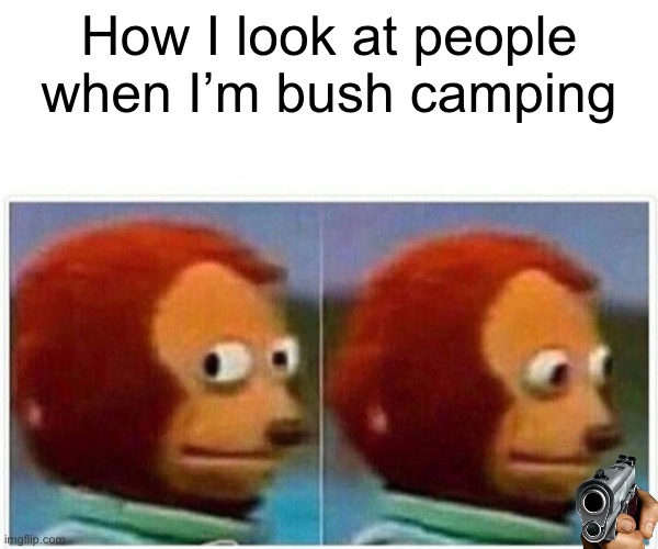 Monkey Puppet | How I look at people when I’m bush camping | image tagged in memes,monkey puppet | made w/ Imgflip meme maker