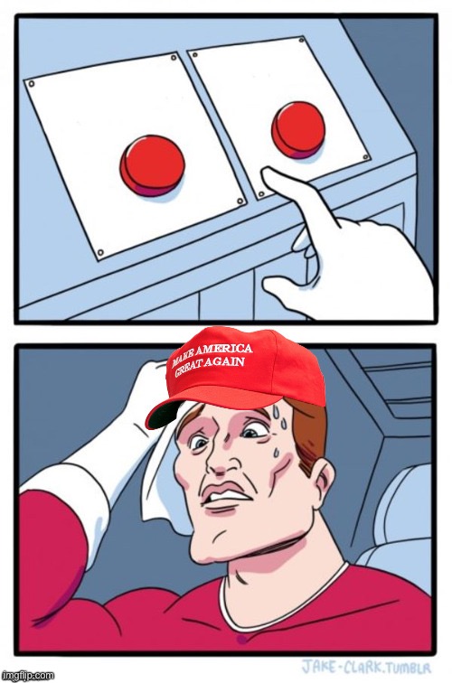 Two Button Maga Hat | image tagged in two button maga hat | made w/ Imgflip meme maker