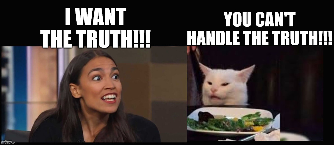Smudge and AOC | YOU CAN'T HANDLE THE TRUTH!!! I WANT THE TRUTH!!! | image tagged in smudge and aoc,aoc,cat,the truth,memes,you can't handle the truth | made w/ Imgflip meme maker