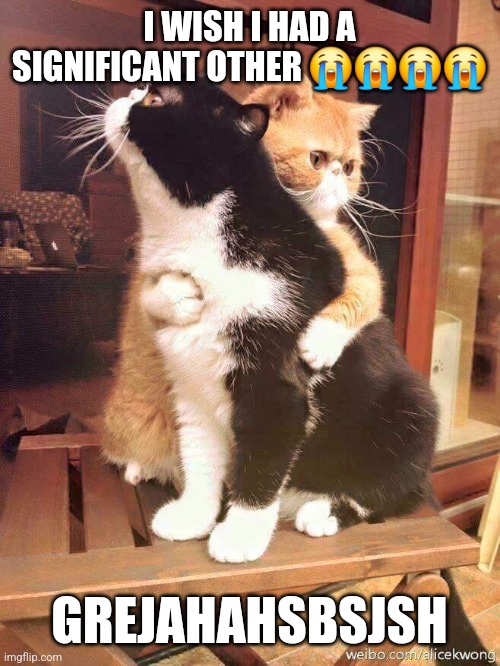 Sobs | I WISH I HAD A SIGNIFICANT OTHER 😭😭😭😭; GREJAHAHSBSJSH | image tagged in cats hugging | made w/ Imgflip meme maker