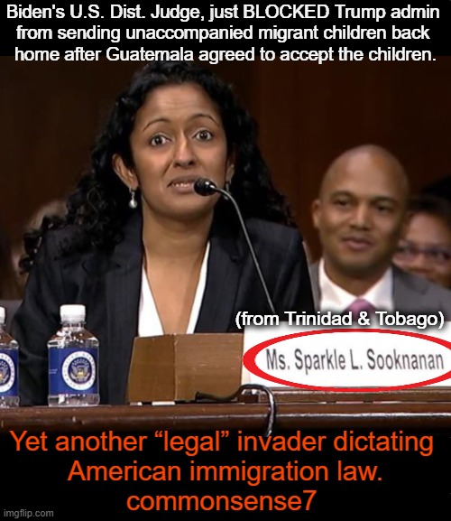Should foreigners be judges in the USA? | Biden's U.S. Dist. Judge, just BLOCKED Trump admin 

from sending unaccompanied migrant children back 

home after Guatemala agreed to accept the children. (from Trinidad & Tobago); Yet another “legal” invader dictating 

American immigration law.

commonsense7 | image tagged in judges,foreign,born,usa,president trump,illegal aliens | made w/ Imgflip meme maker