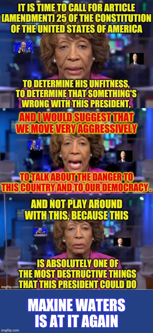 Maxine Waters Is At It Again | image tagged in memes,remove,donald trump,why not,president_joe_biden,liberal hypocrisy | made w/ Imgflip meme maker