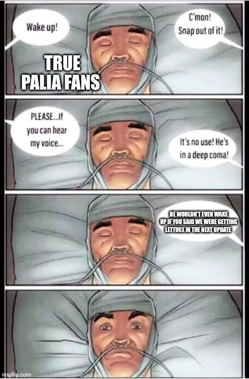 Someday my [LETTUCE] will come... ? | TRUE PALIA FANS; HE WOULDN'T EVEN WAKE UP IF YOU SAID WE WERE GETTING LETTUCE IN THE NEXT UPDATE | image tagged in coma,palia,lettuce,gaming | made w/ Imgflip meme maker