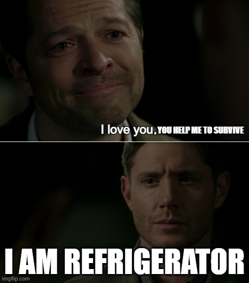 Destiel I love you | , YOU HELP ME TO SURVIVE; I AM REFRIGERATOR | image tagged in destiel i love you | made w/ Imgflip meme maker
