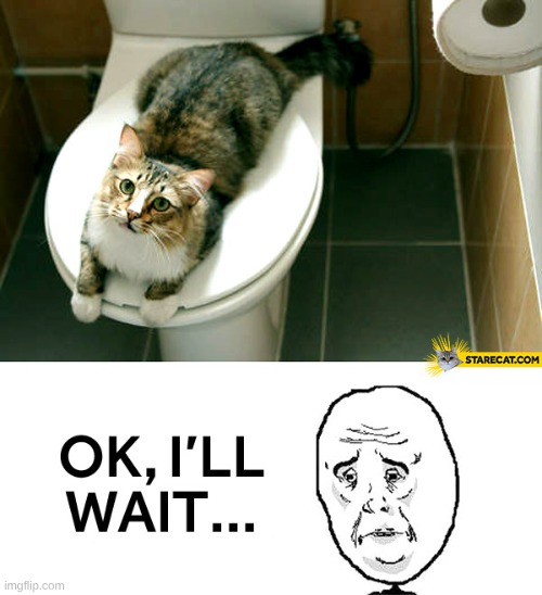 image tagged in funny,toilet | made w/ Imgflip meme maker