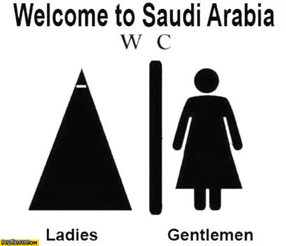 image tagged in funny,toilets,saudi arabia | made w/ Imgflip meme maker