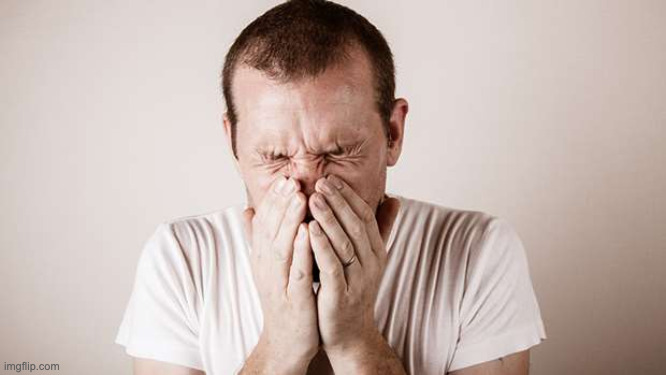 Big Sneeze | image tagged in big sneeze | made w/ Imgflip meme maker