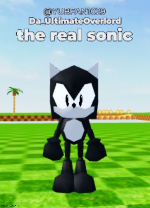 I joined a sonic rp game, made this avatar, and just went around interrupting rps talking about how cold it was | made w/ Imgflip meme maker