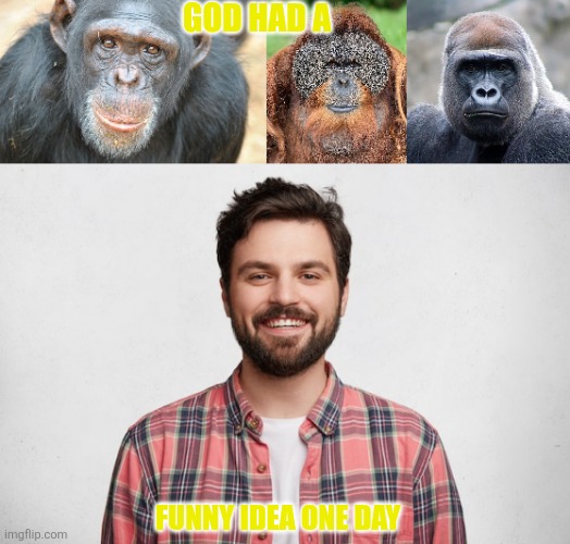 Split in 3s | GOD HAD A; FUNNY IDEA ONE DAY | image tagged in animals,funny | made w/ Imgflip meme maker
