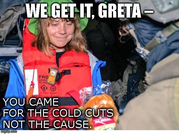 Greta humanitarian aid | WE GET IT, GRETA –; YOU CAME
FOR THE COLD CUTS
NOT THE CAUSE. | image tagged in humanitarian aid,greta thunberg | made w/ Imgflip meme maker