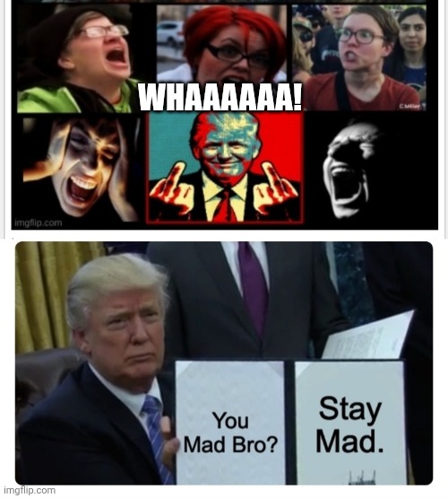 WHAAAAAA! | made w/ Imgflip meme maker