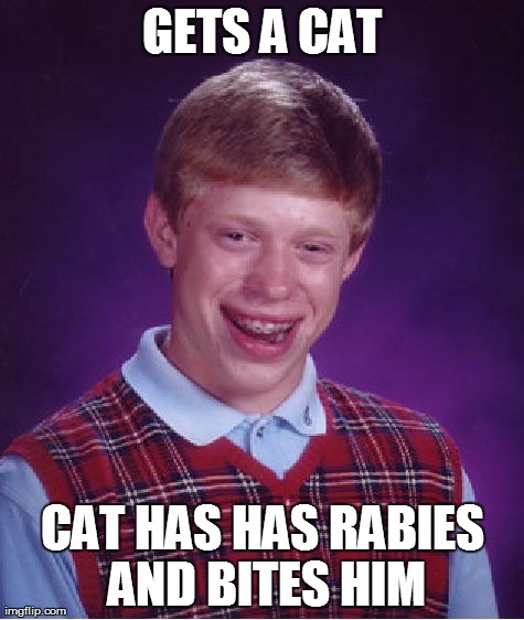 Bad Luck Brian Meme | GETS A CAT CAT HAS HAS RABIES AND BITES HIM | image tagged in memes,bad luck brian | made w/ Imgflip meme maker