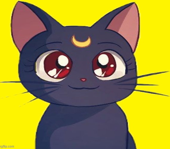 luna Blank Meme Template