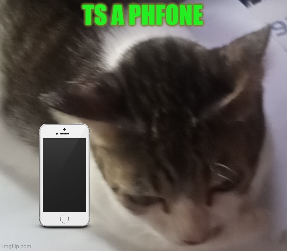 Ming mong | TS A PHFONE | image tagged in ming mong | made w/ Imgflip meme maker