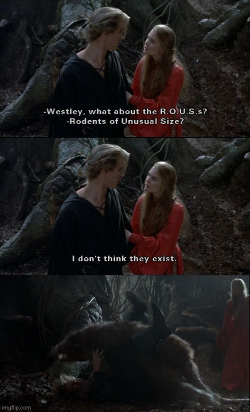 Rodents of unusual size | image tagged in rodents of unusual size | made w/ Imgflip meme maker