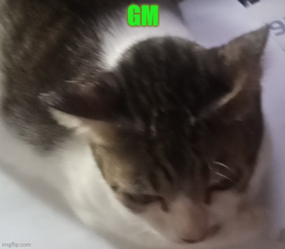 Ming mong | GM | image tagged in ming mong | made w/ Imgflip meme maker