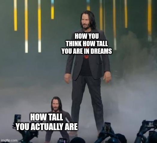 dreams suck | HOW YOU THINK HOW TALL YOU ARE IN DREAMS; HOW TALL YOU ACTUALLY ARE | image tagged in mini keanu reeves and big keanu reeves | made w/ Imgflip meme maker