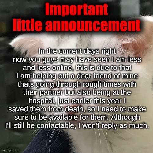 Stay safe everybody<3 | Important little announcement; In the current days right now you guys may have seen I am less and less online, this is due to that I am helping out a dear friend of mine thats going through rough times with their partner but also being at the hospital, just earlier this year I saved them from death, so I need to make sure to be available for them. Although I'll still be contactable, I won't reply as much. | image tagged in i'm awake but at what cost | made w/ Imgflip meme maker